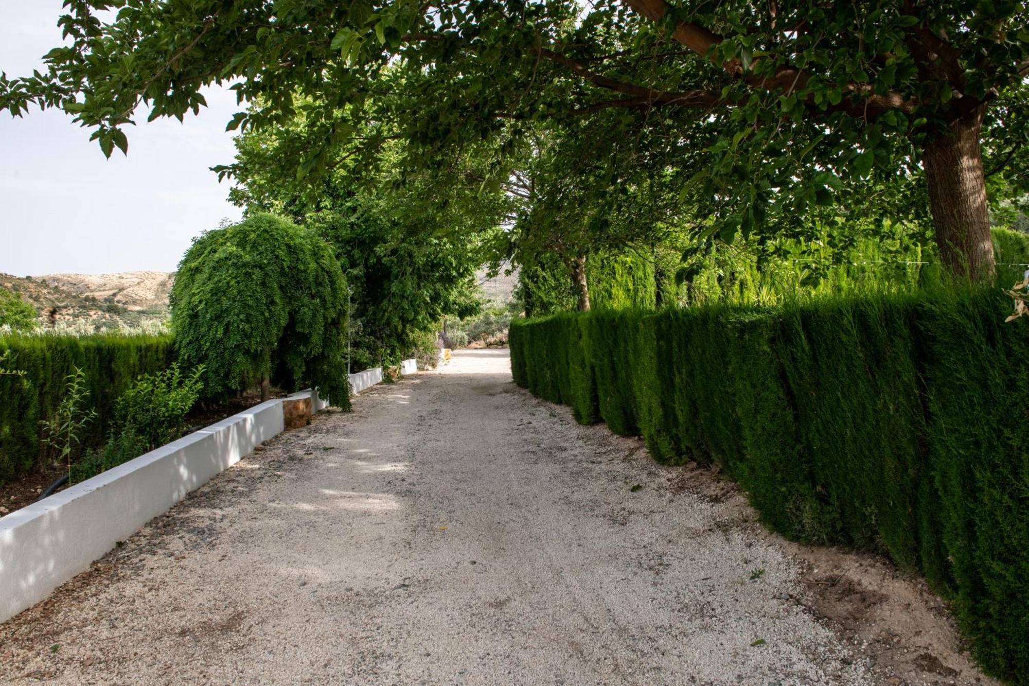 Alojamiento Turistico Loma Alta Cambil المظهر الخارجي الصورة